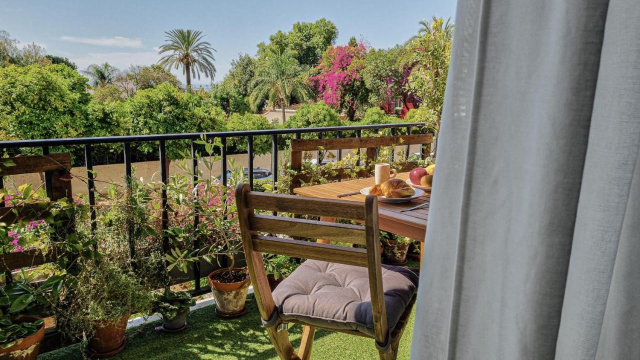 Terraza con plantas, buganvilla y palmeras